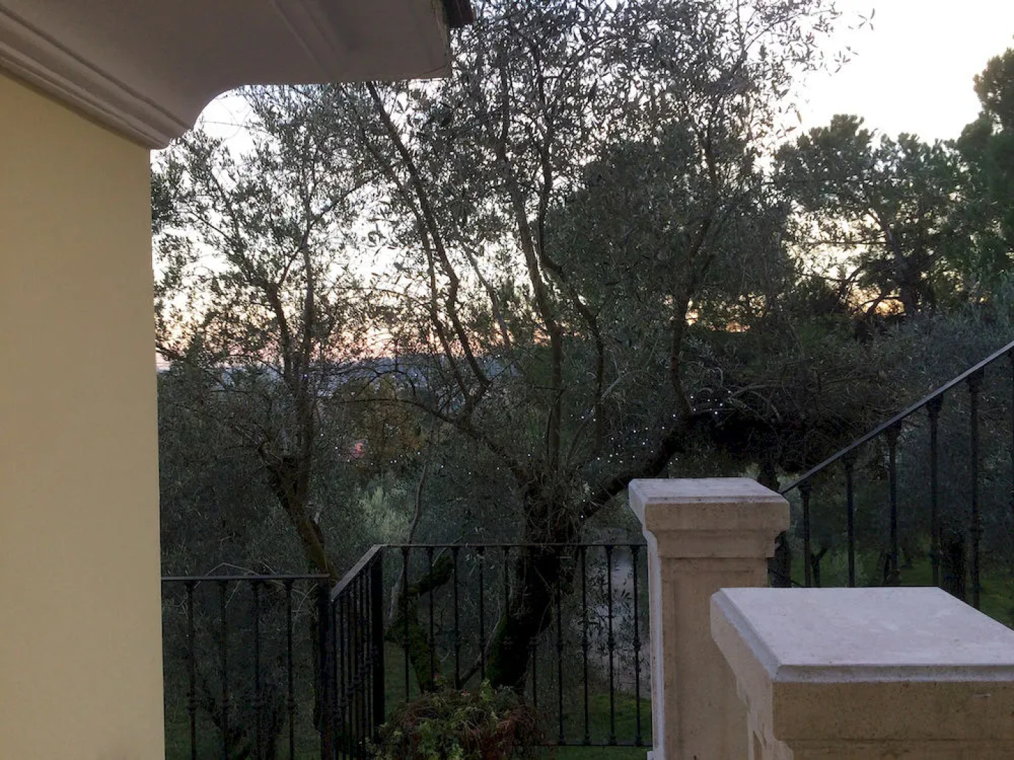 Sogno Verde