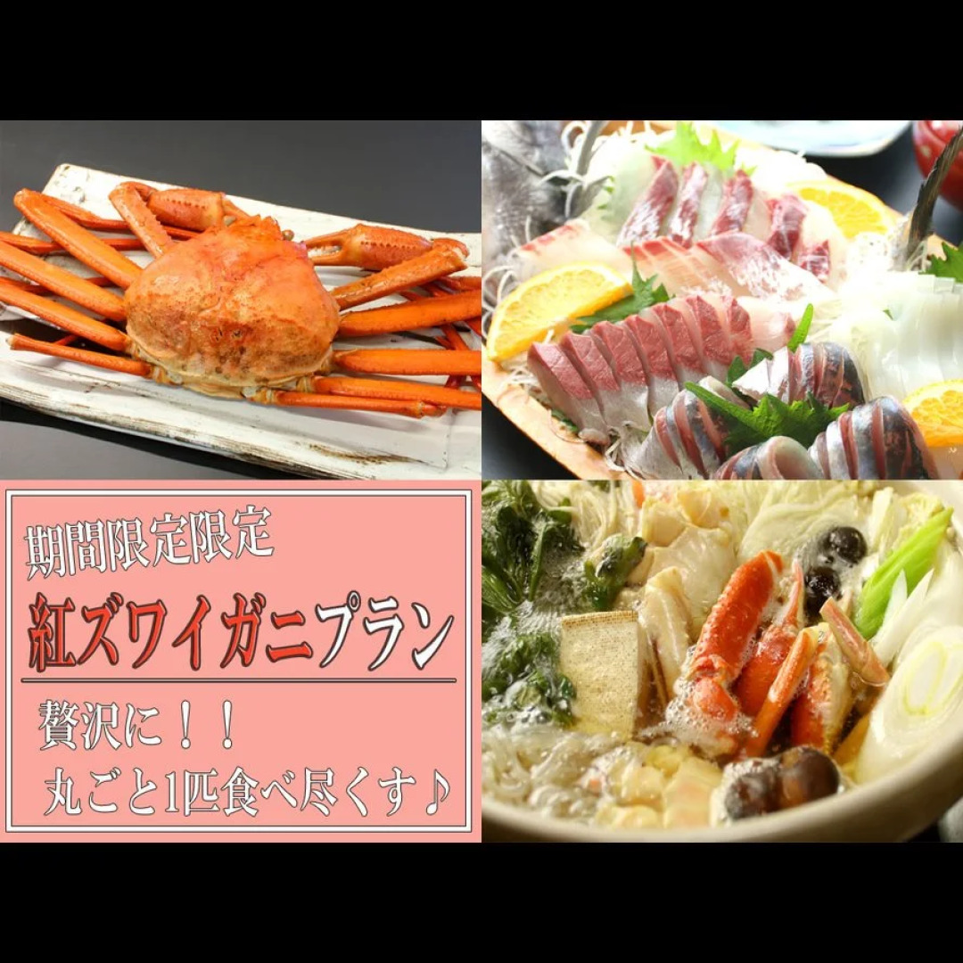 Echizenkuriya Onsen Ryokan Kinryu