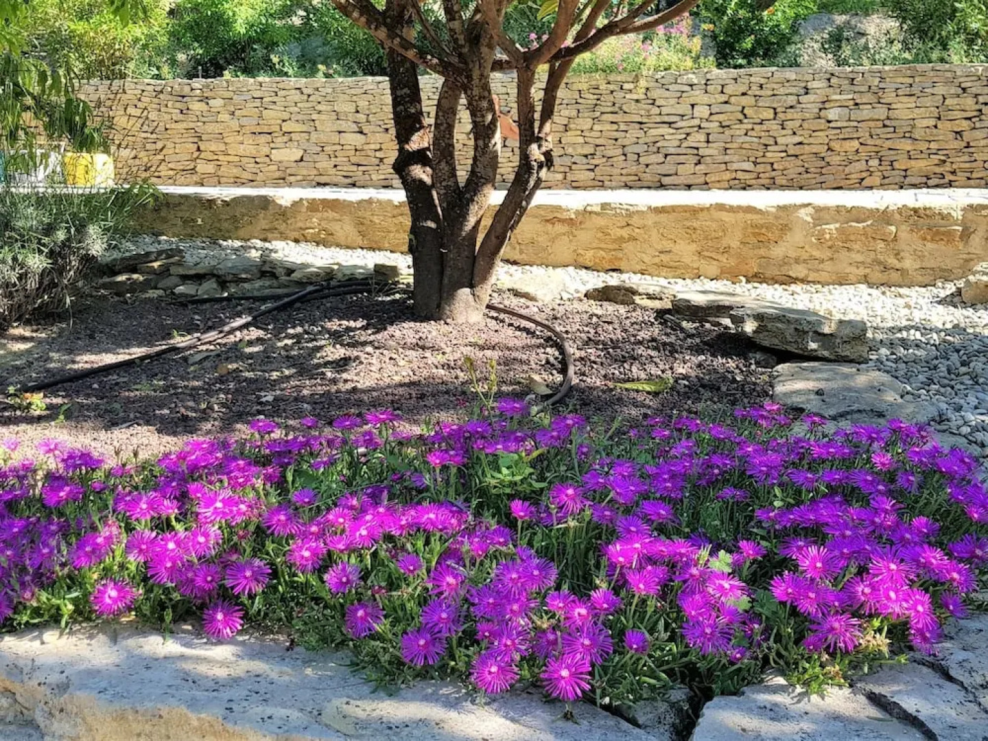 2 Tastefully Furnished Gites With Private Pool, 1km From Faucon