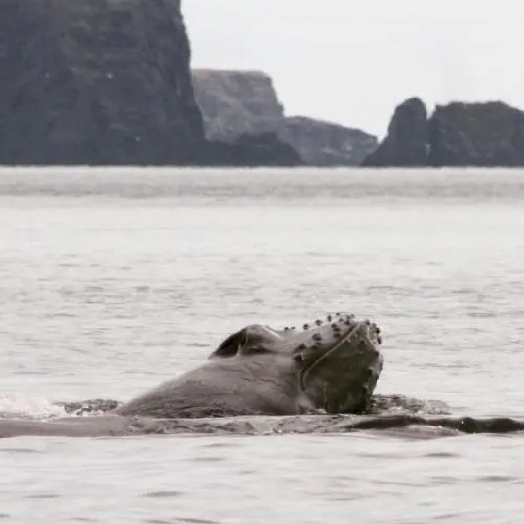 The Convent Guesthouse