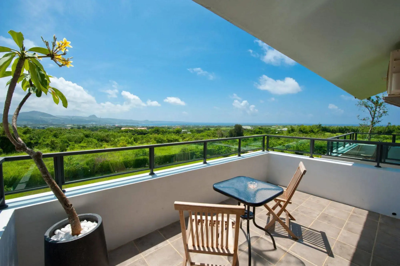 The Tree Bed and Breakfast