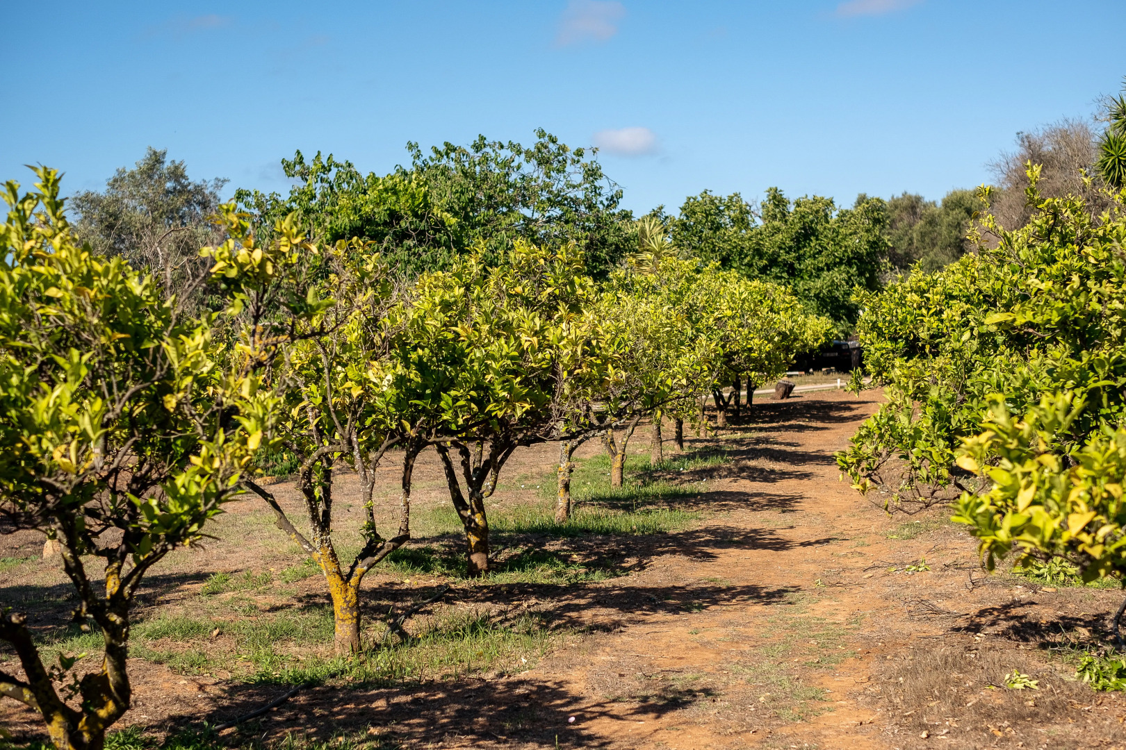 Vila Valverde Design Country Hotel