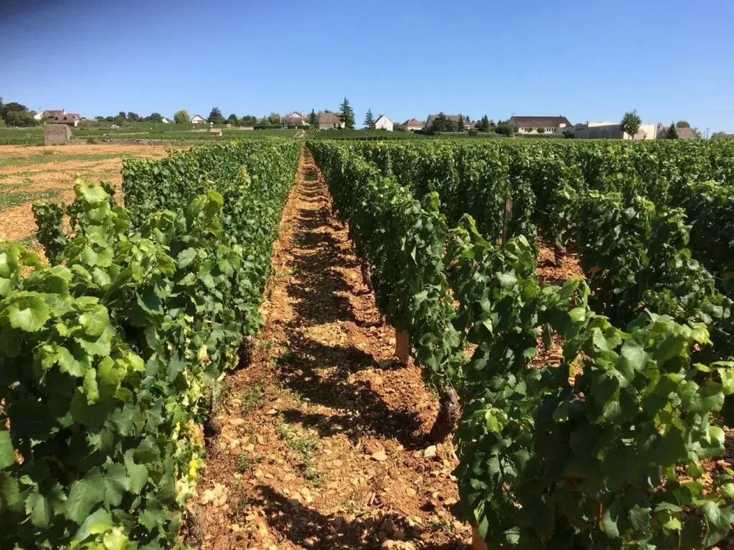 Gasthaus zum Hirschen