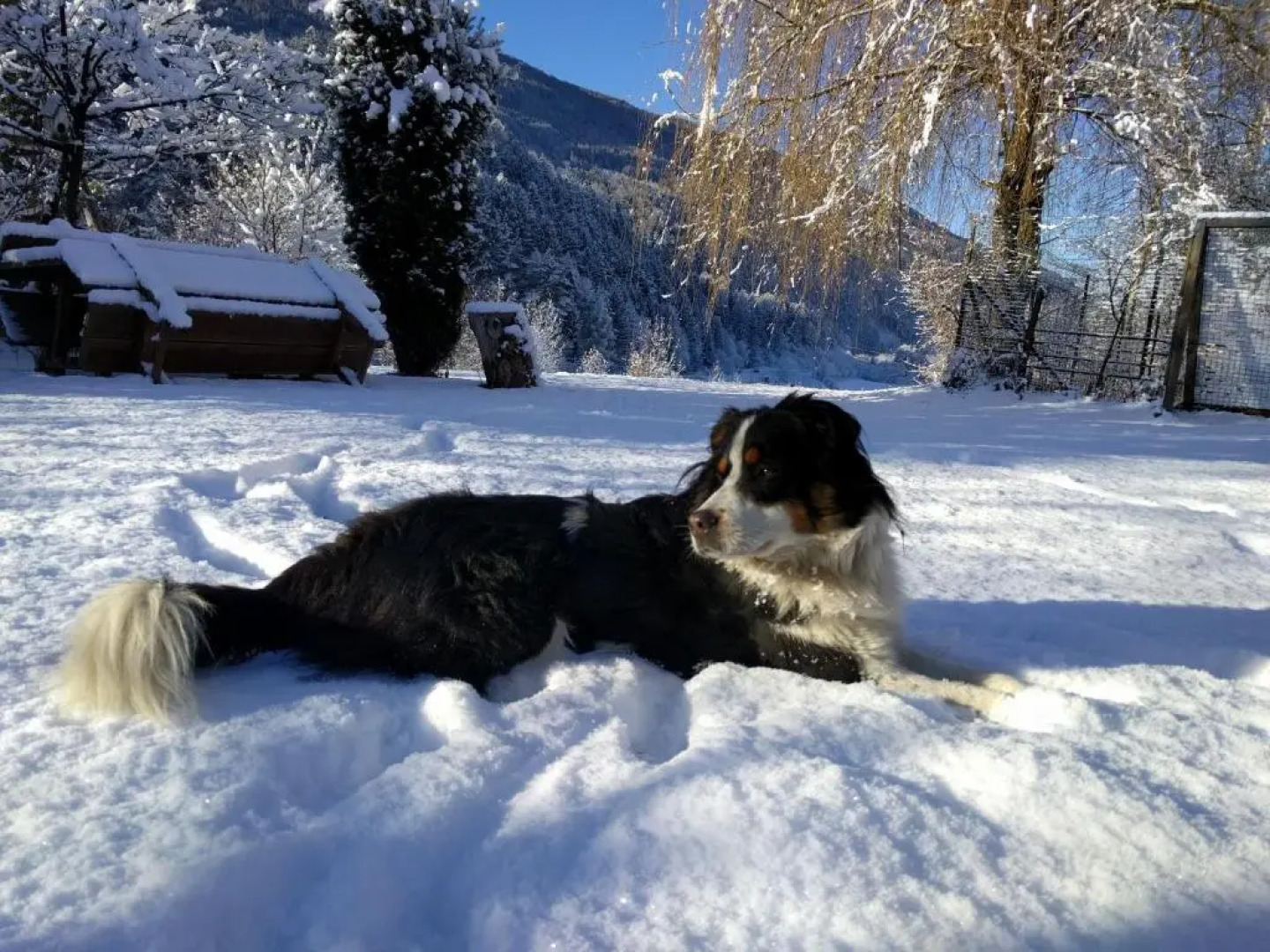 Haus Ploner - Pichlerhof