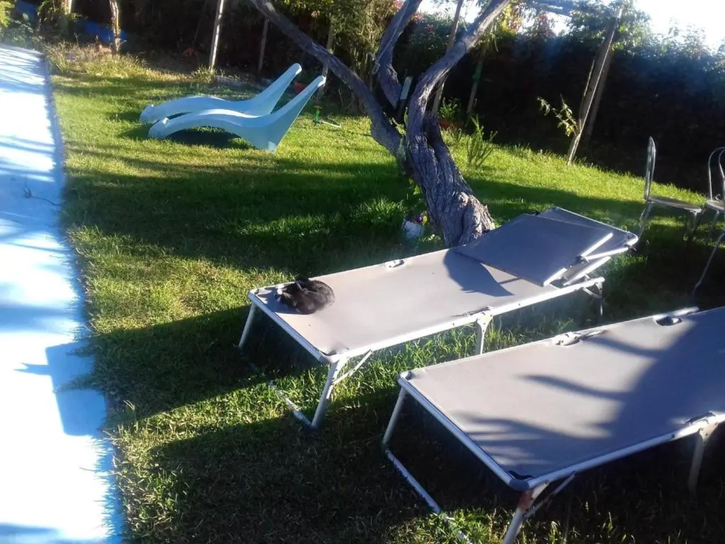 Studio in Nazaré, With Pool Access, Furnished Garden and Wifi - 7 km F