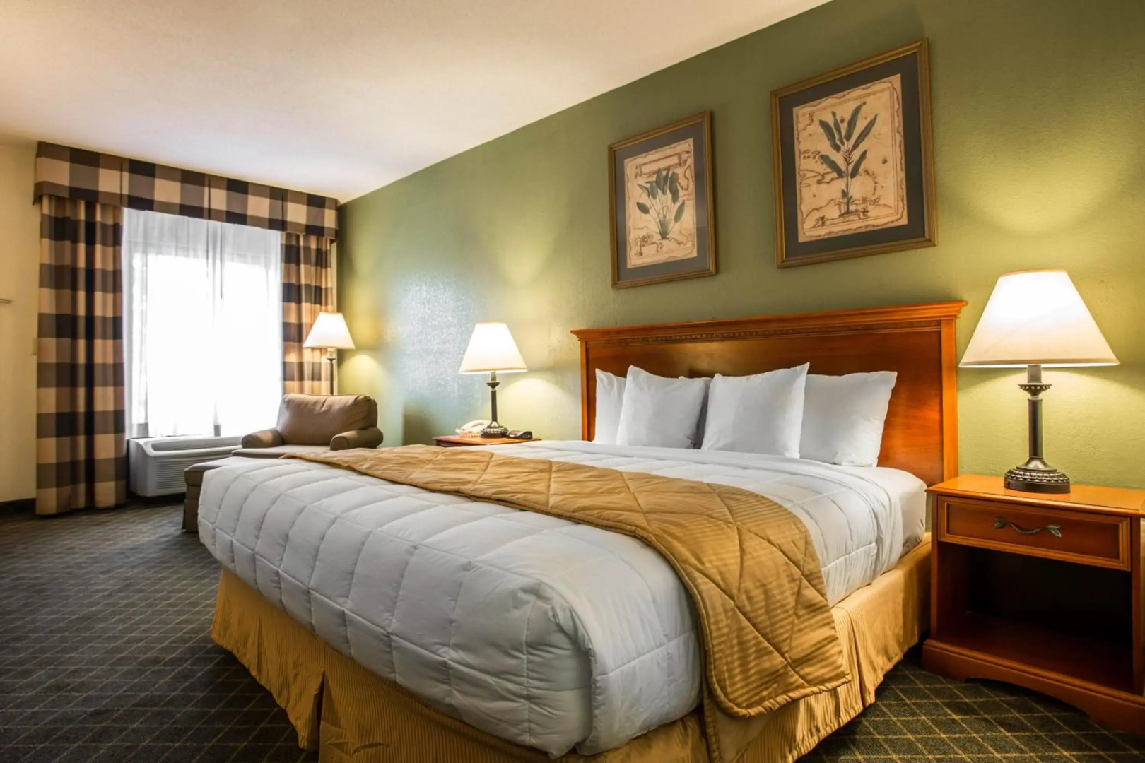 Clarion Inn & Suites Aiken South