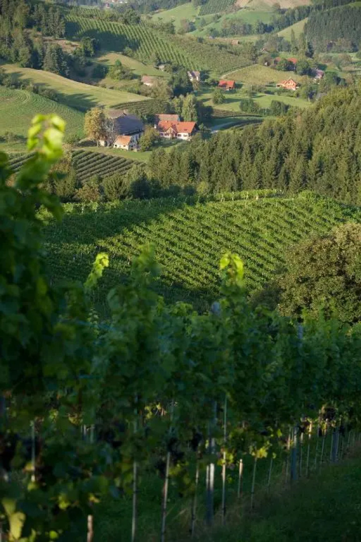 Gästehaus Biohof Leutschach
