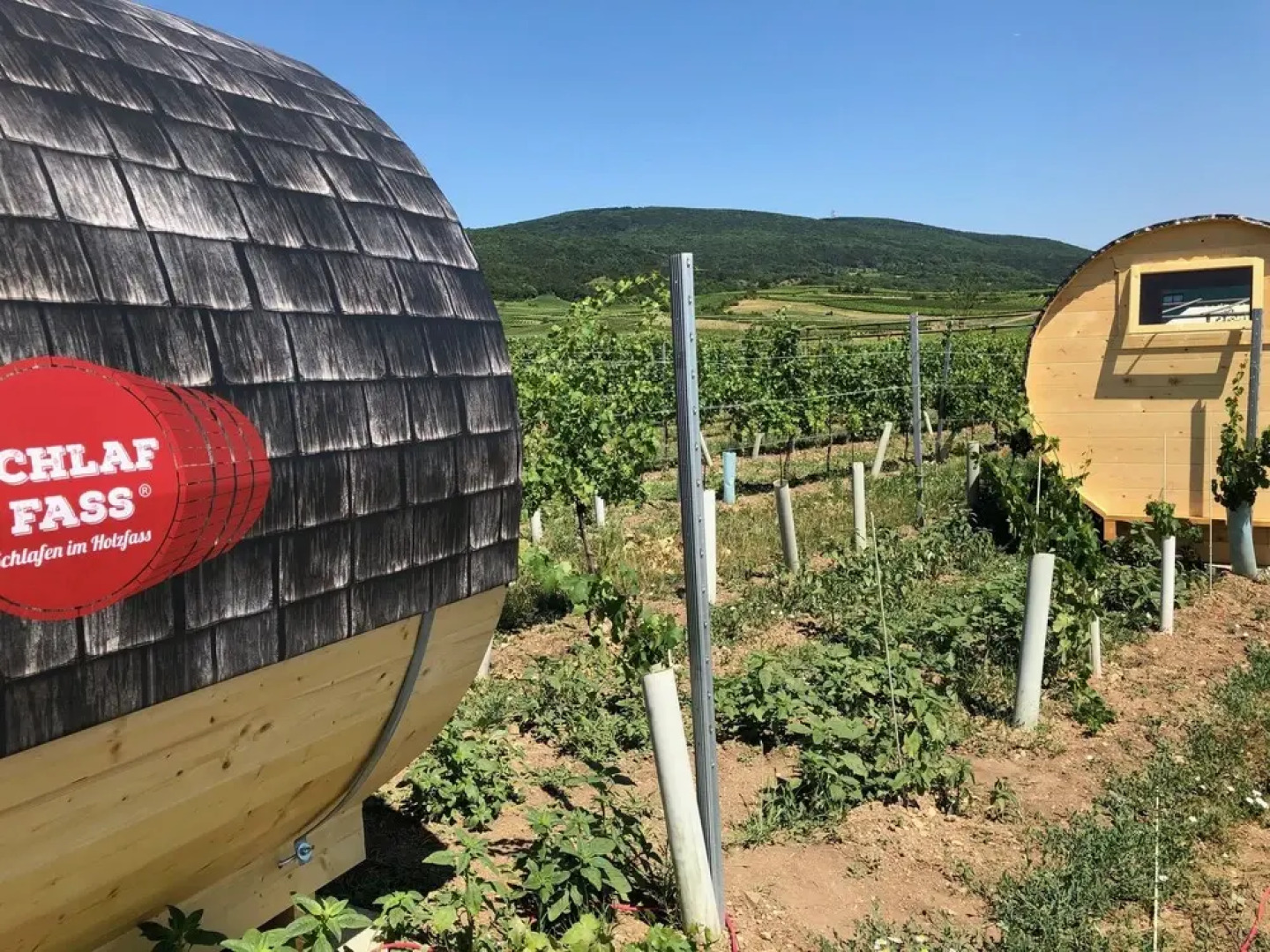 Schlaffass- Schlafen im Weinfass - Campsite