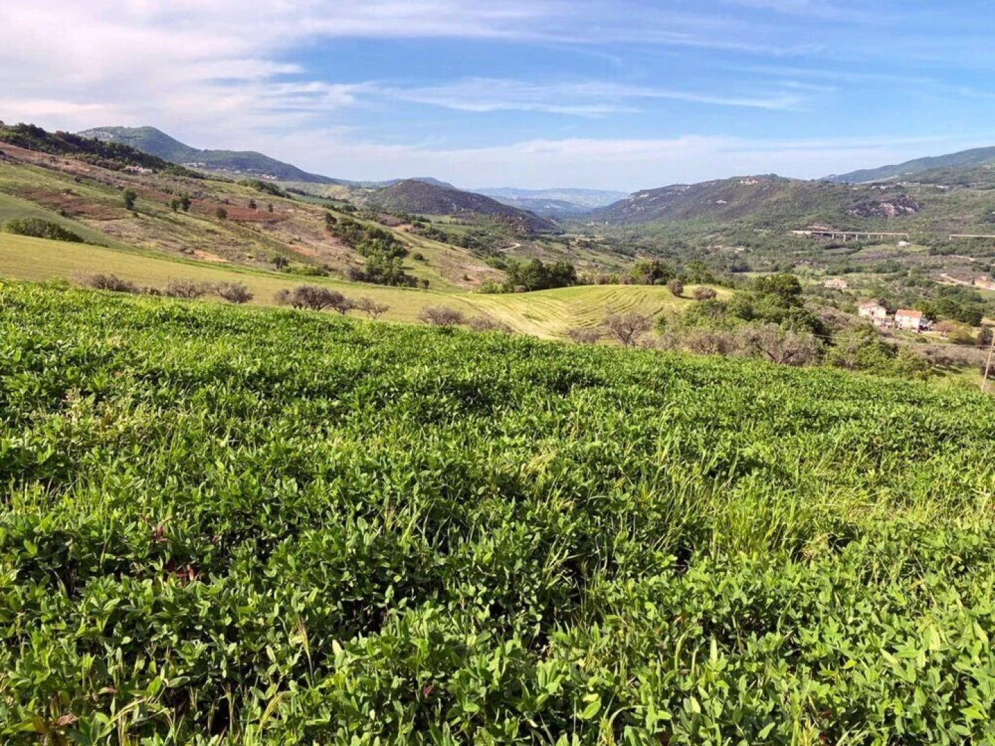 I 3 falchi Bed & Breakfast