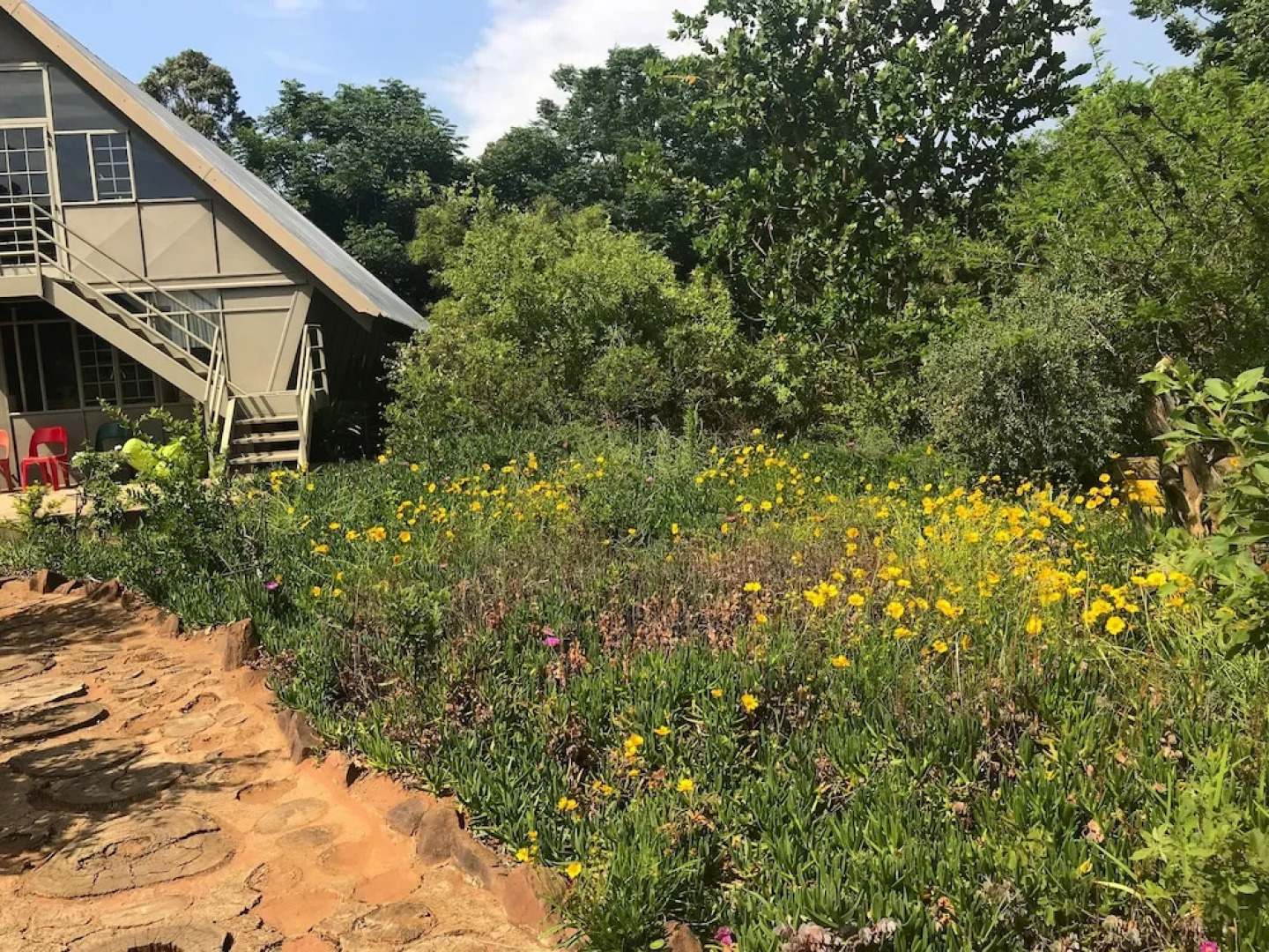 Modimolle Funky Stay Backpackers