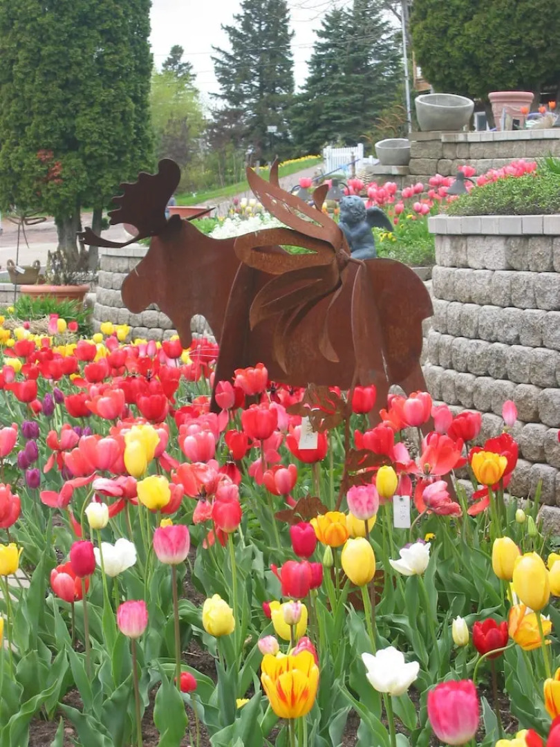 Winfield Inn and Gardens