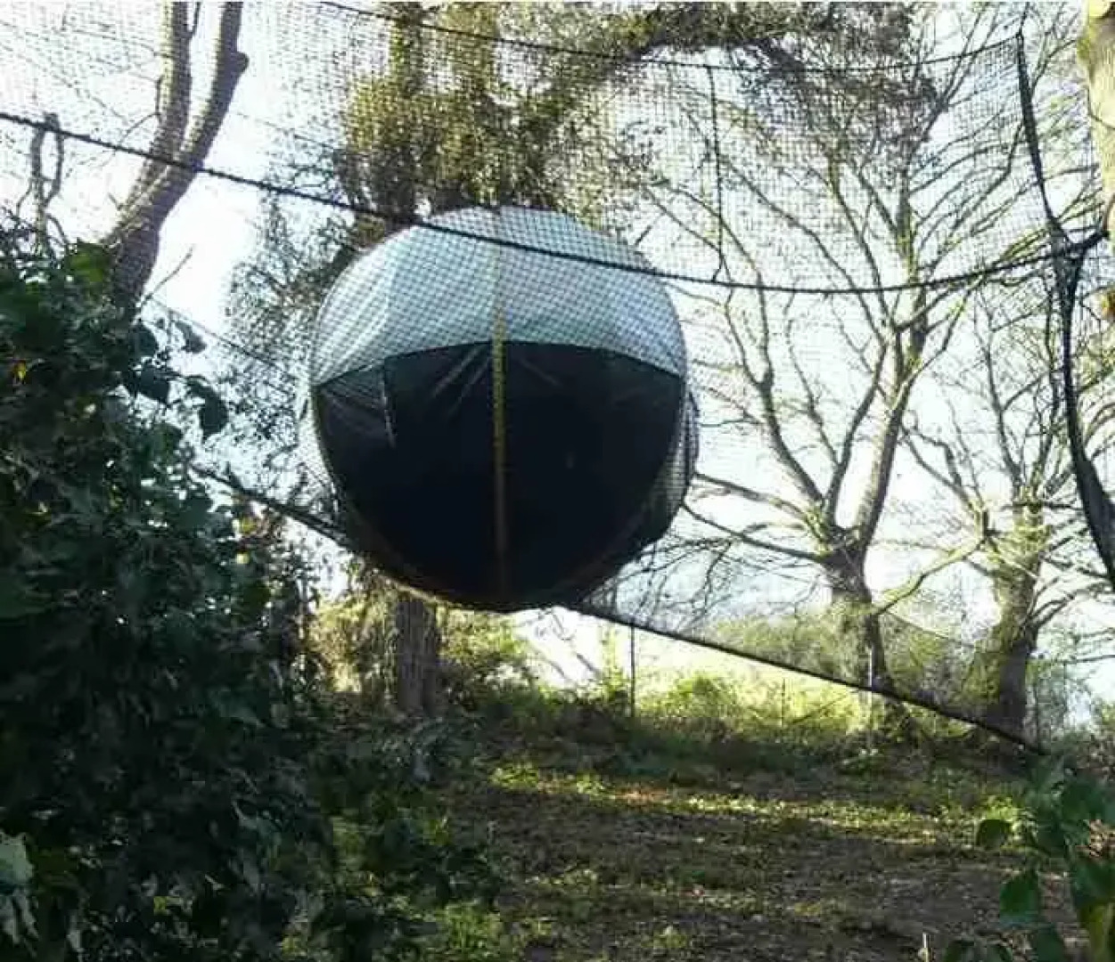 Les Nids de la Corbinais