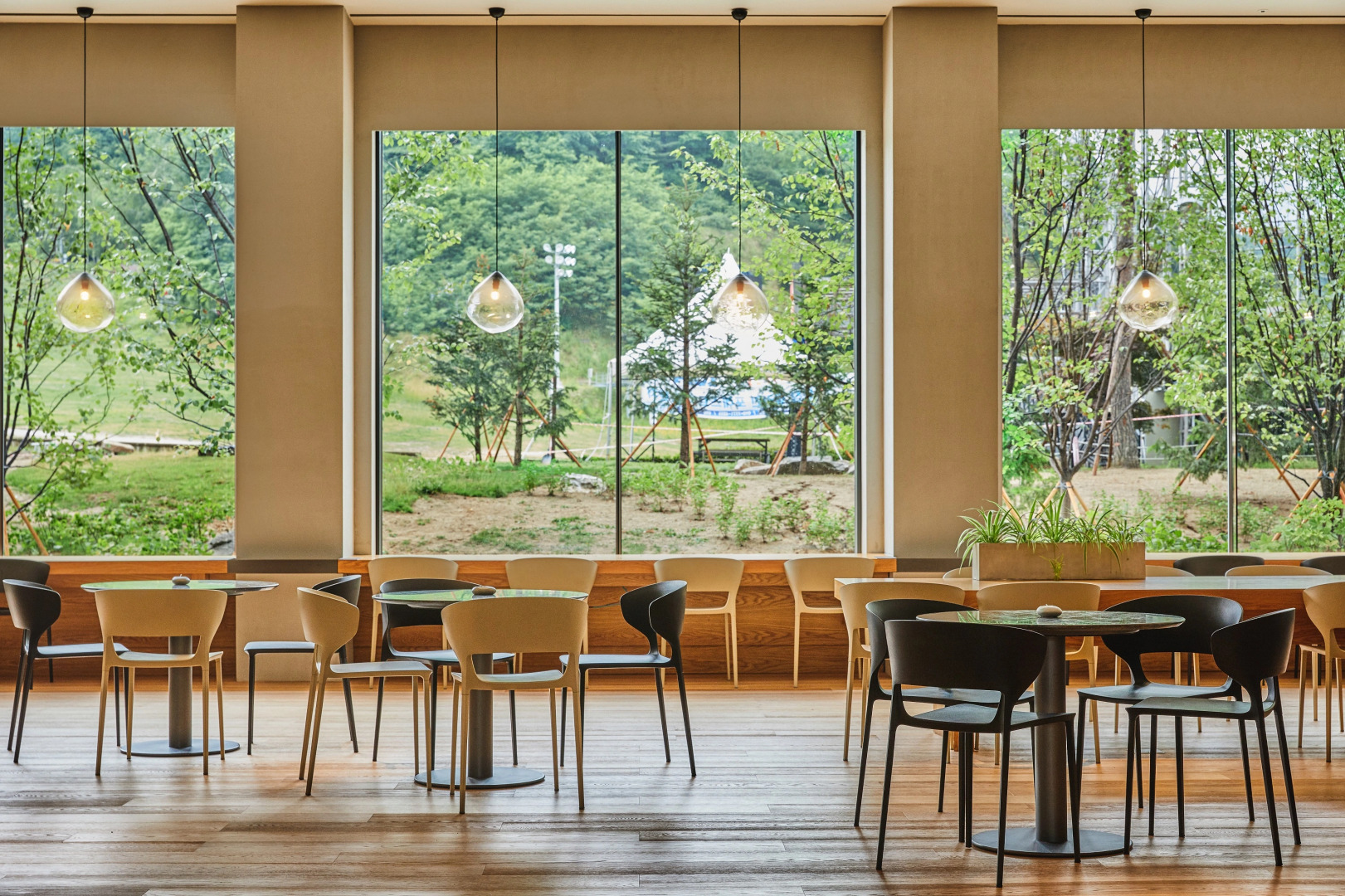 Phoenix Park Resort, Hotel & Condominium