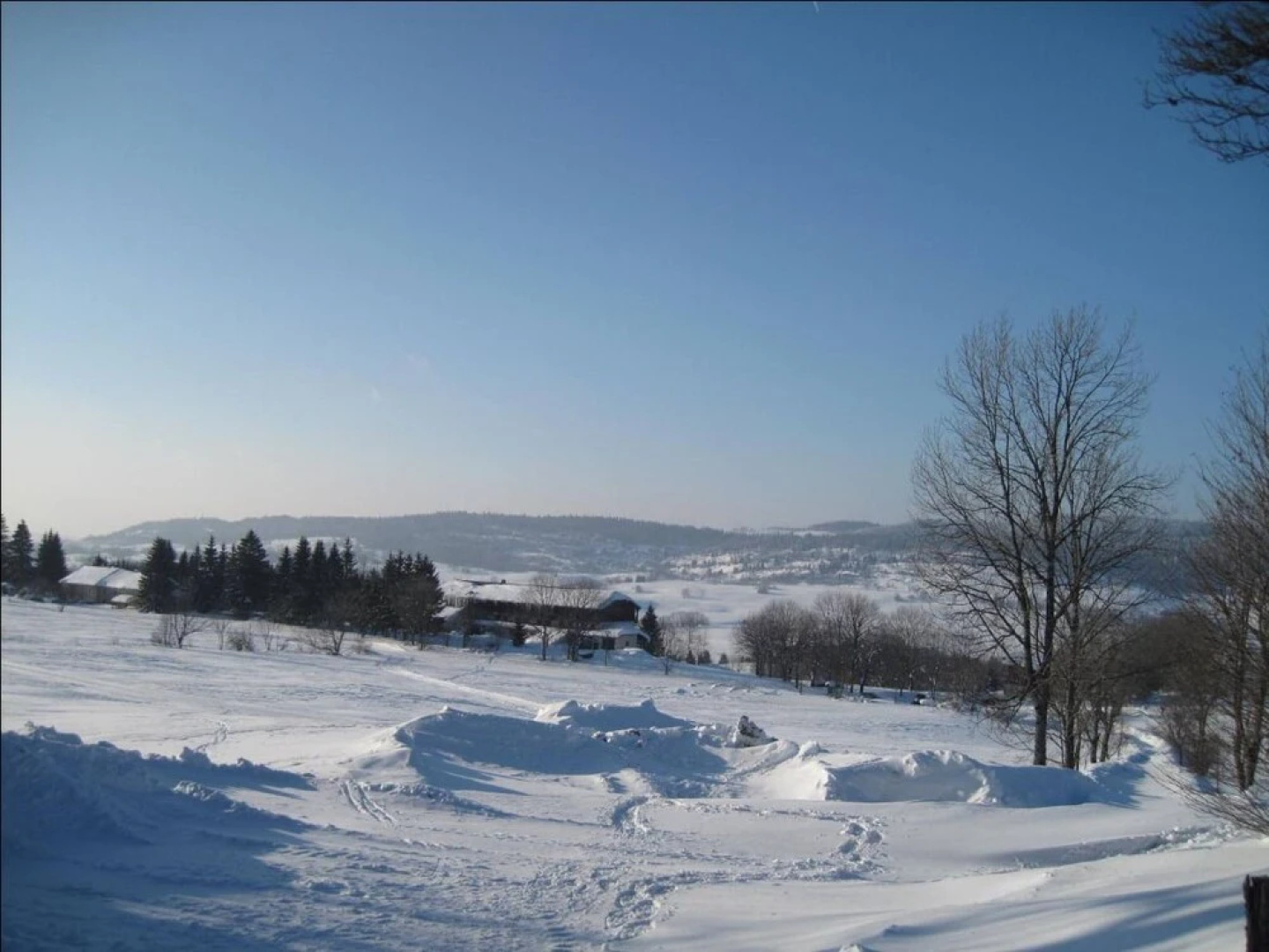 Hôtel Le Grand Chalet