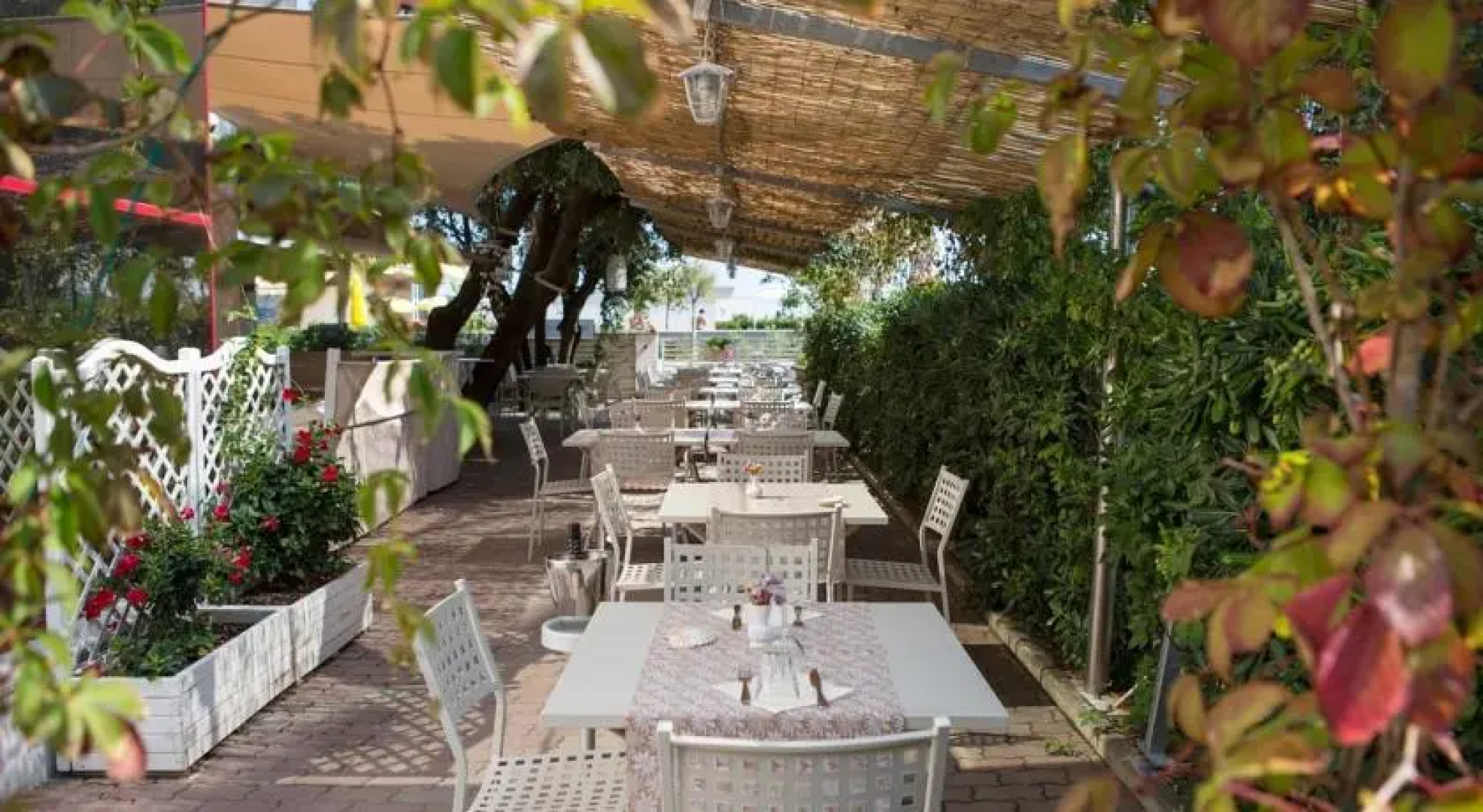 Hotel Hidalgo