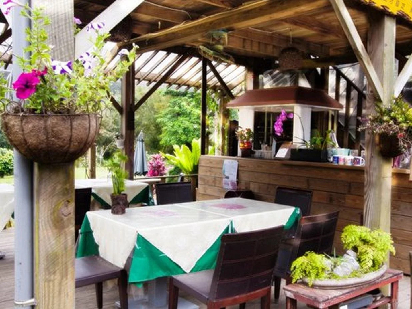 Taiwan Reishi Expert Bed and Breakfast