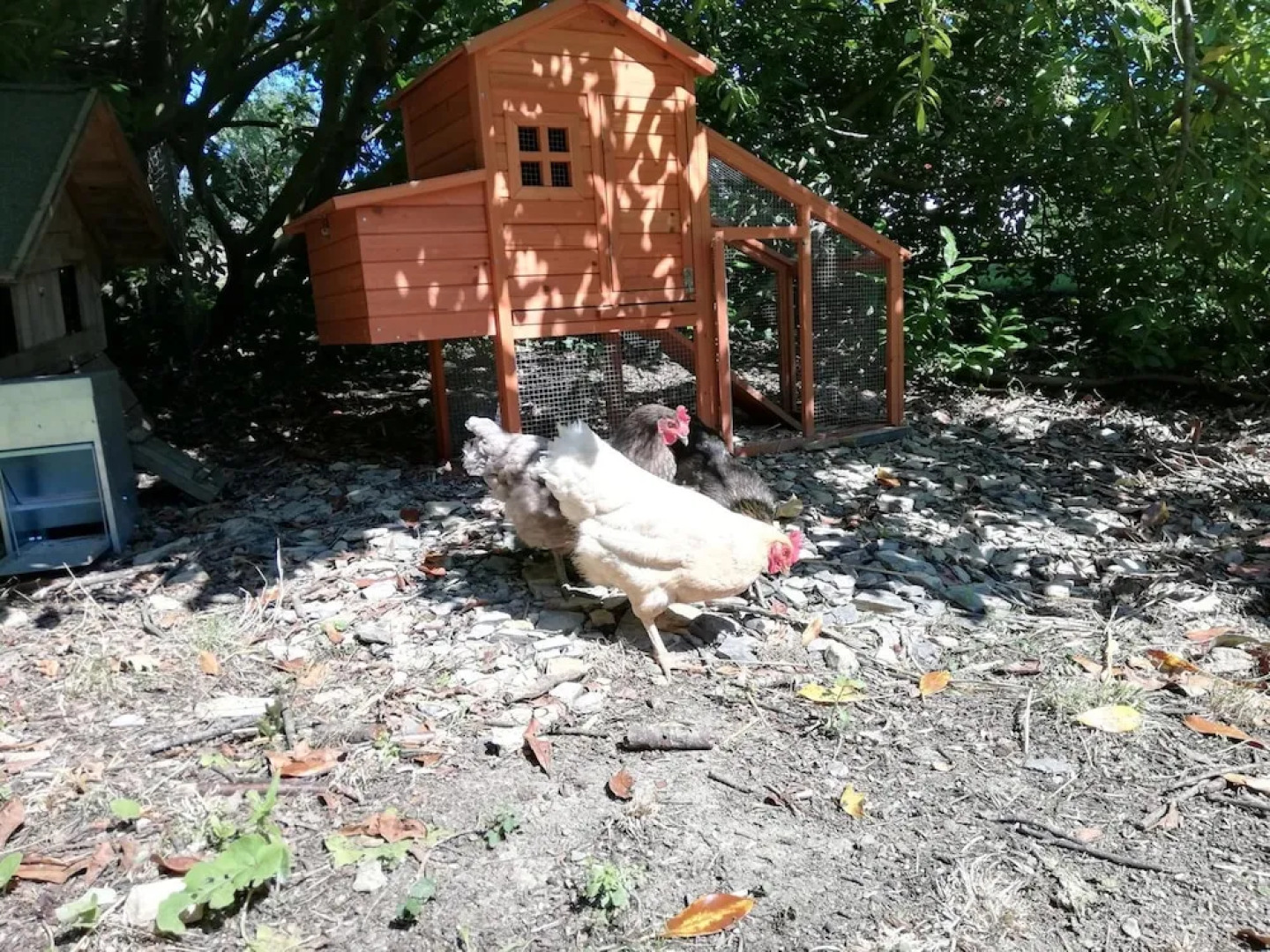 Domaine Abartiague B&B