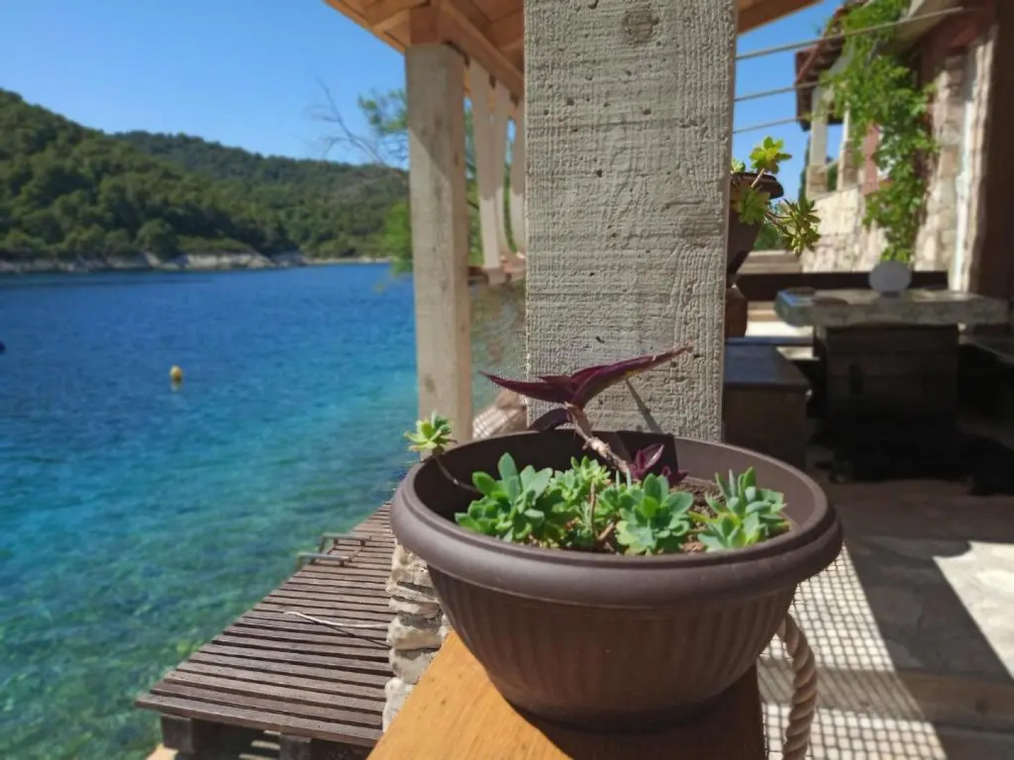 Robinson Tourism Studio Prementur