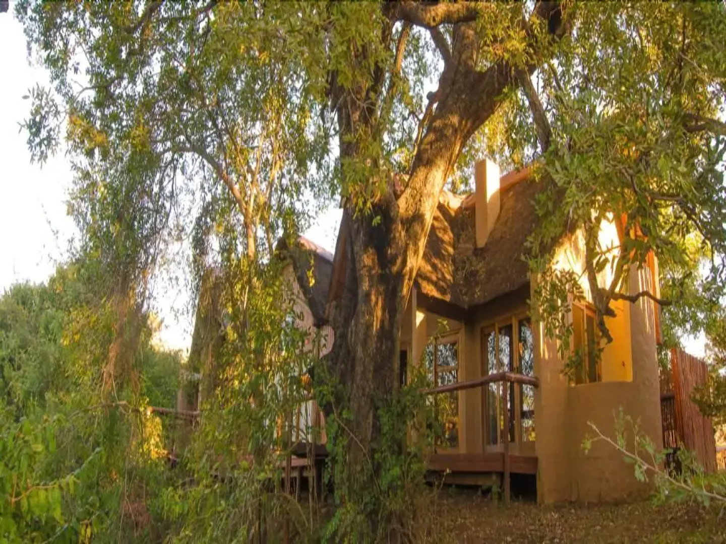 Shishangeni Main Lodge