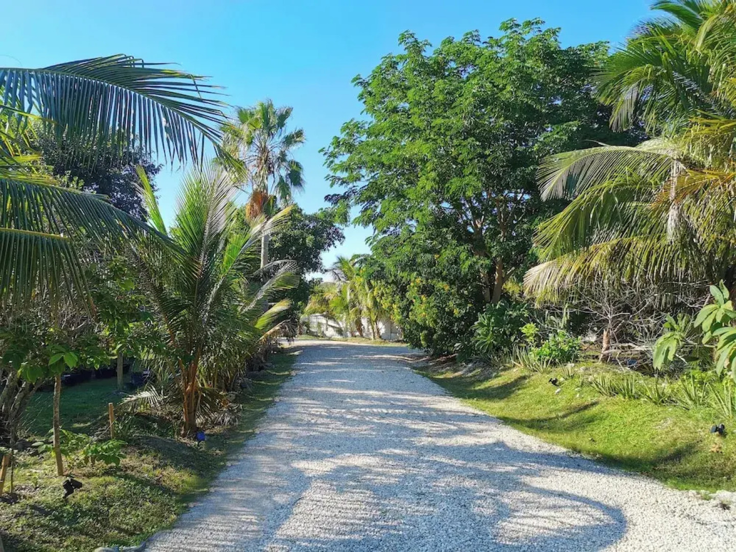 Atlantic View Luxury Villa with Pool