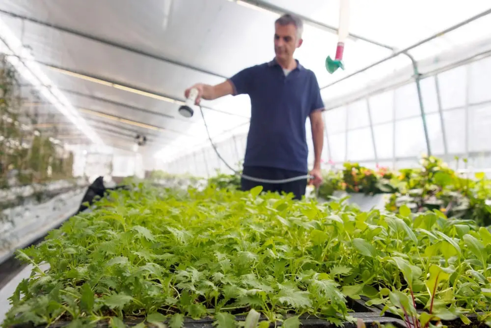 Kumano Kodo Winery Guest House