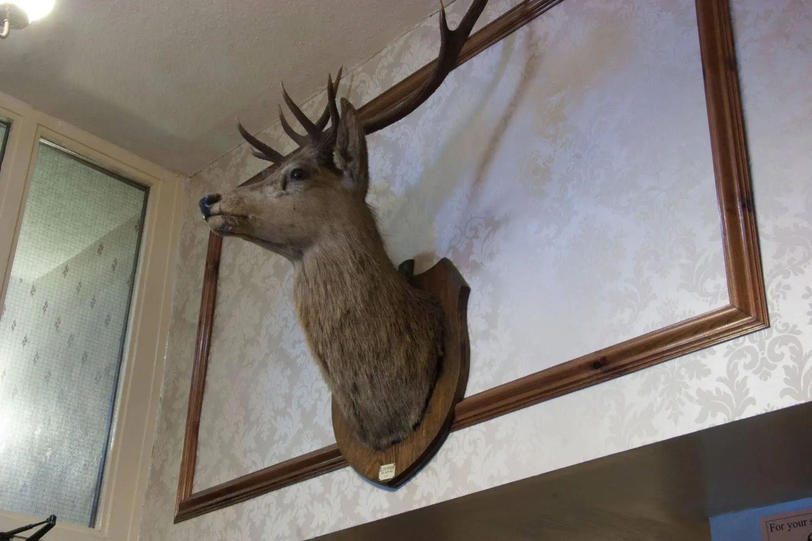The Buck Hotel