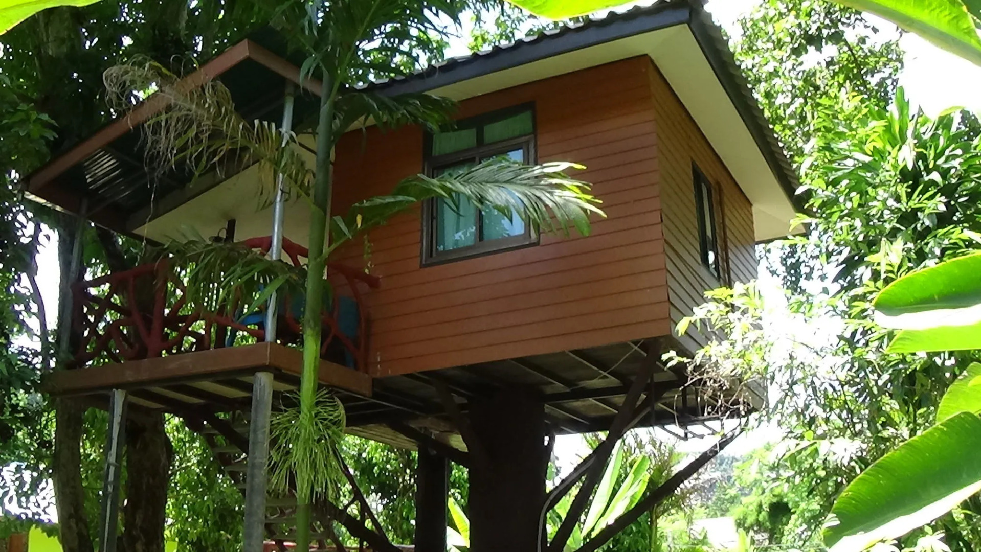 Tree Top River Huts