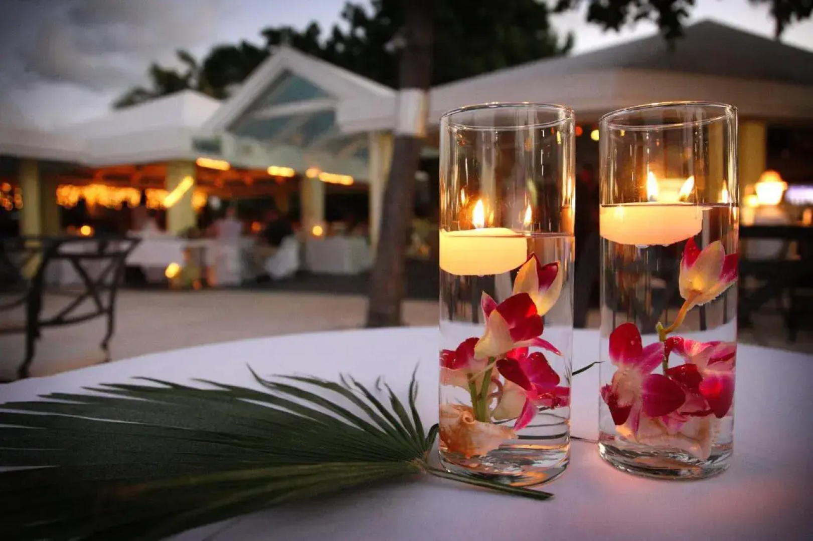 Tamarind Reef Resort Spa & Marina