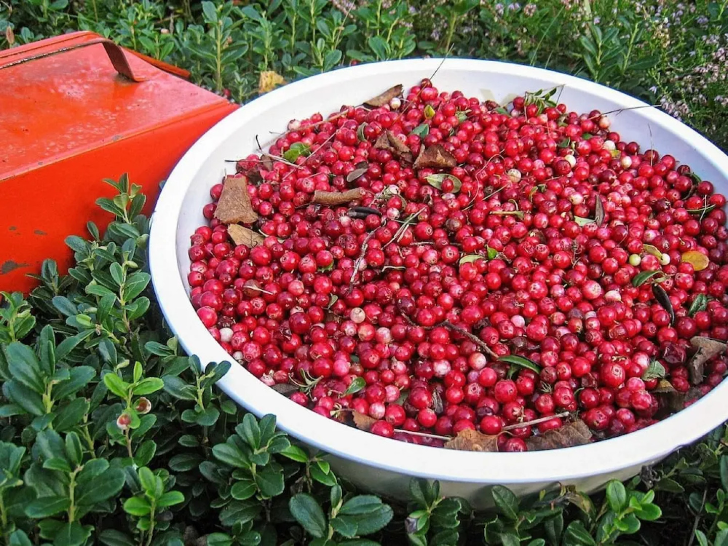 7 Person Holiday Home in Salen-by Traum