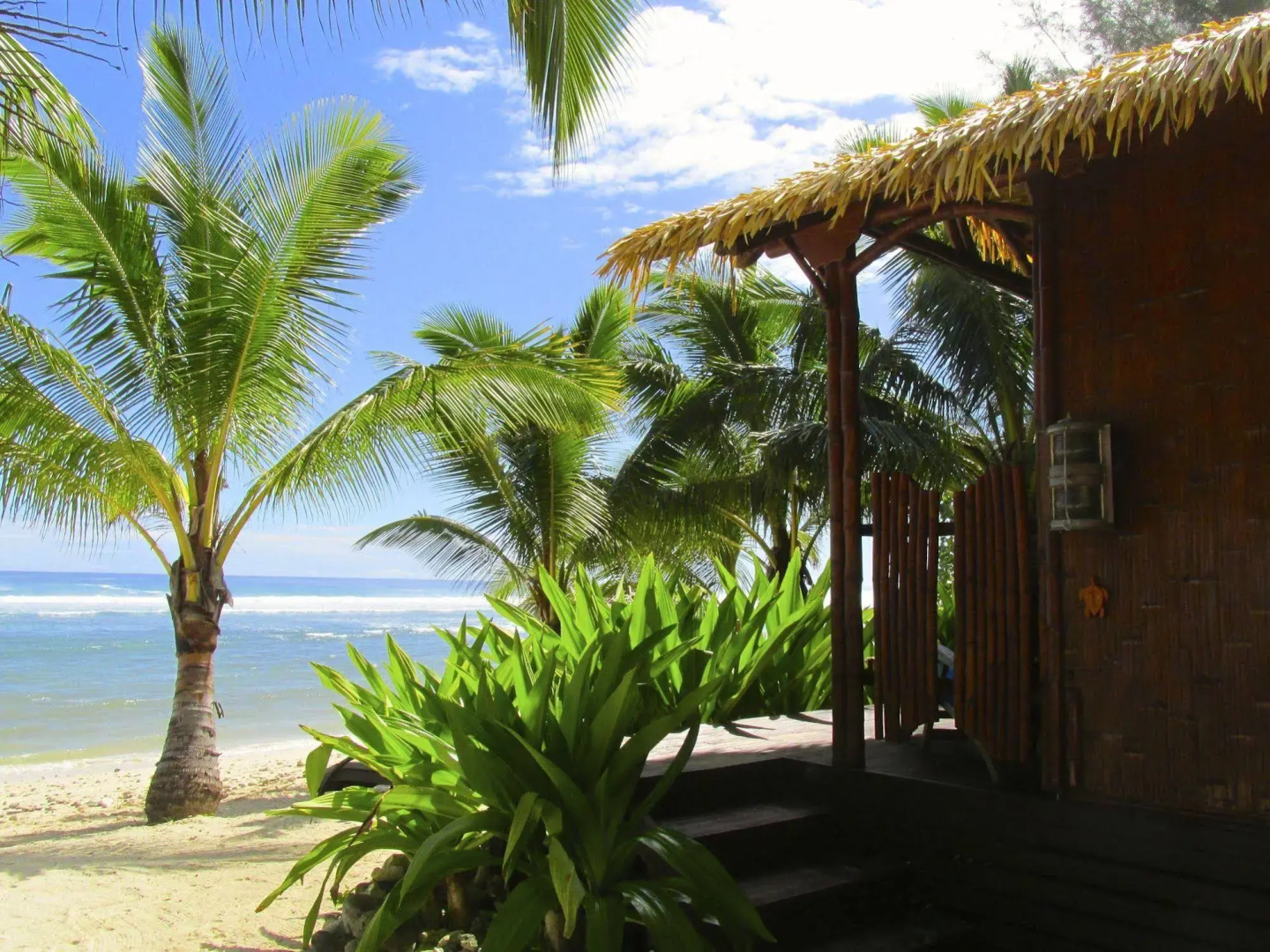 Magic Reef Bungalows