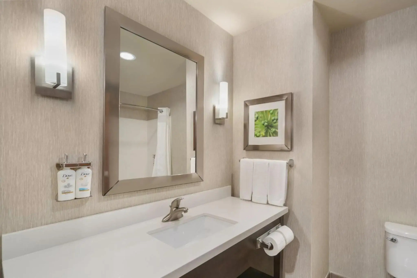 Holiday Inn Express & Suites Houston NW - Tomball Area by IHG