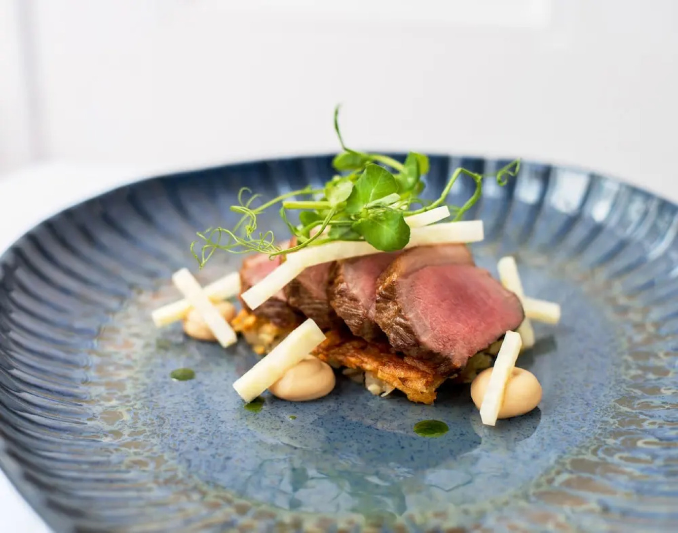 Nanteos Mansion Country House Hotel