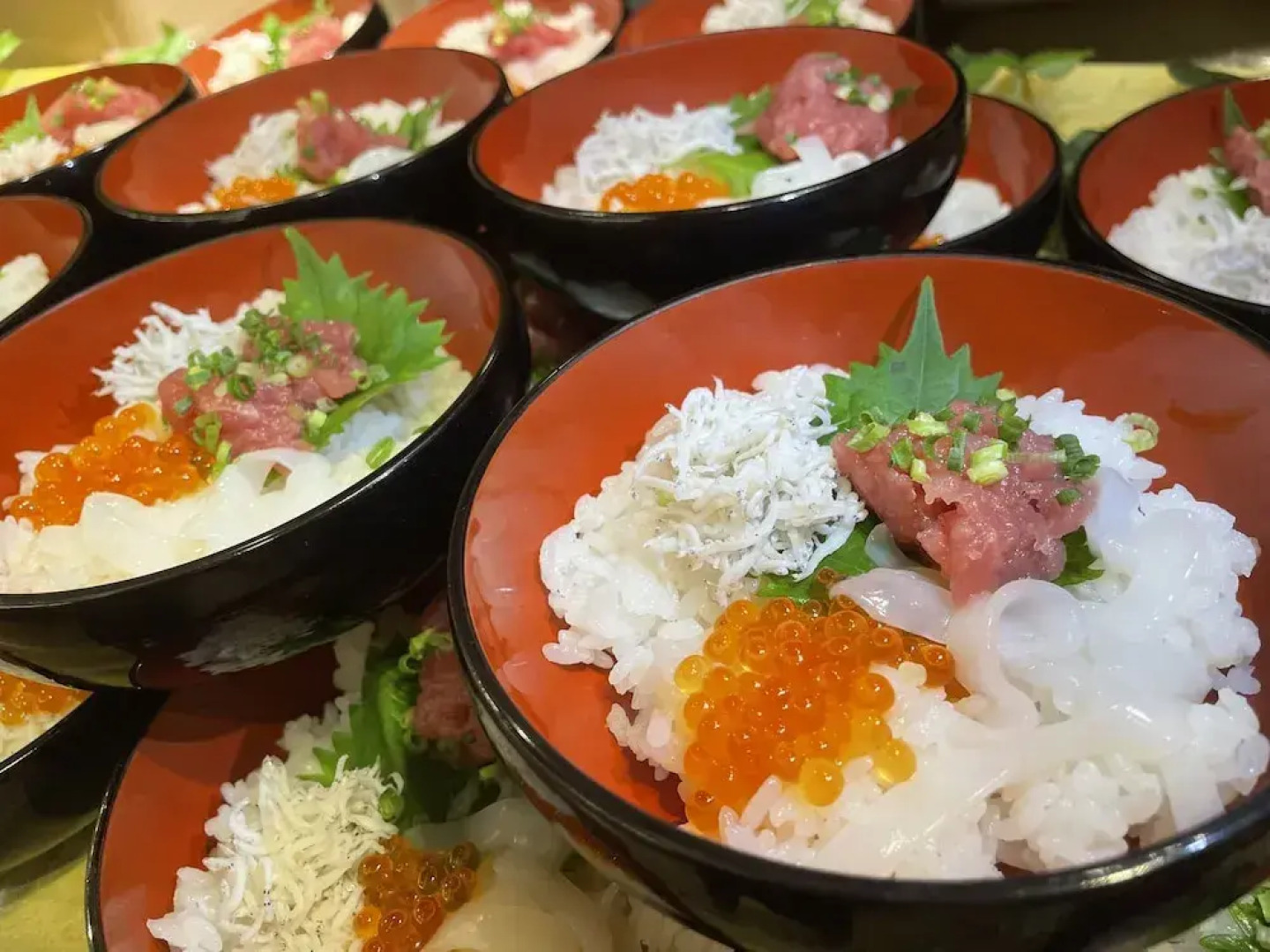 Wellness No Mori Ito