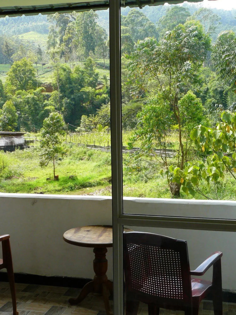 White House Adam's Peak