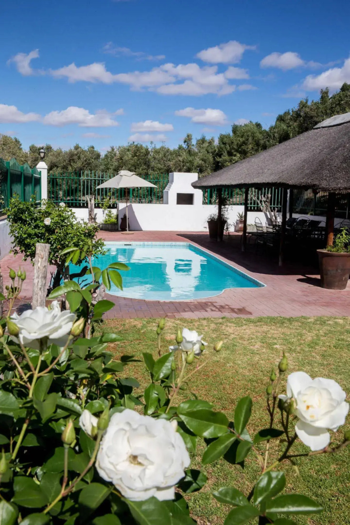 Olive Grove Guest Farm