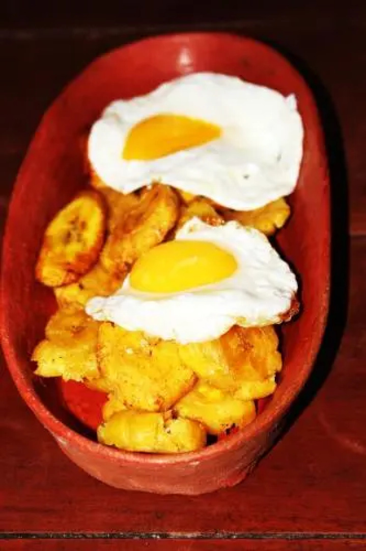 Sachahuasca Backpacker