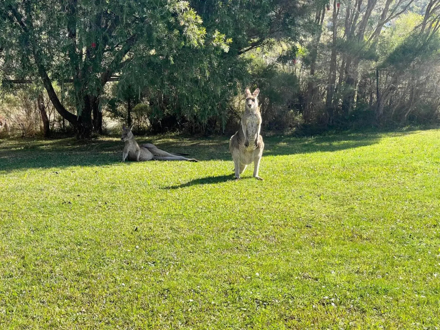 Boomer Crescent 5 Kioloa