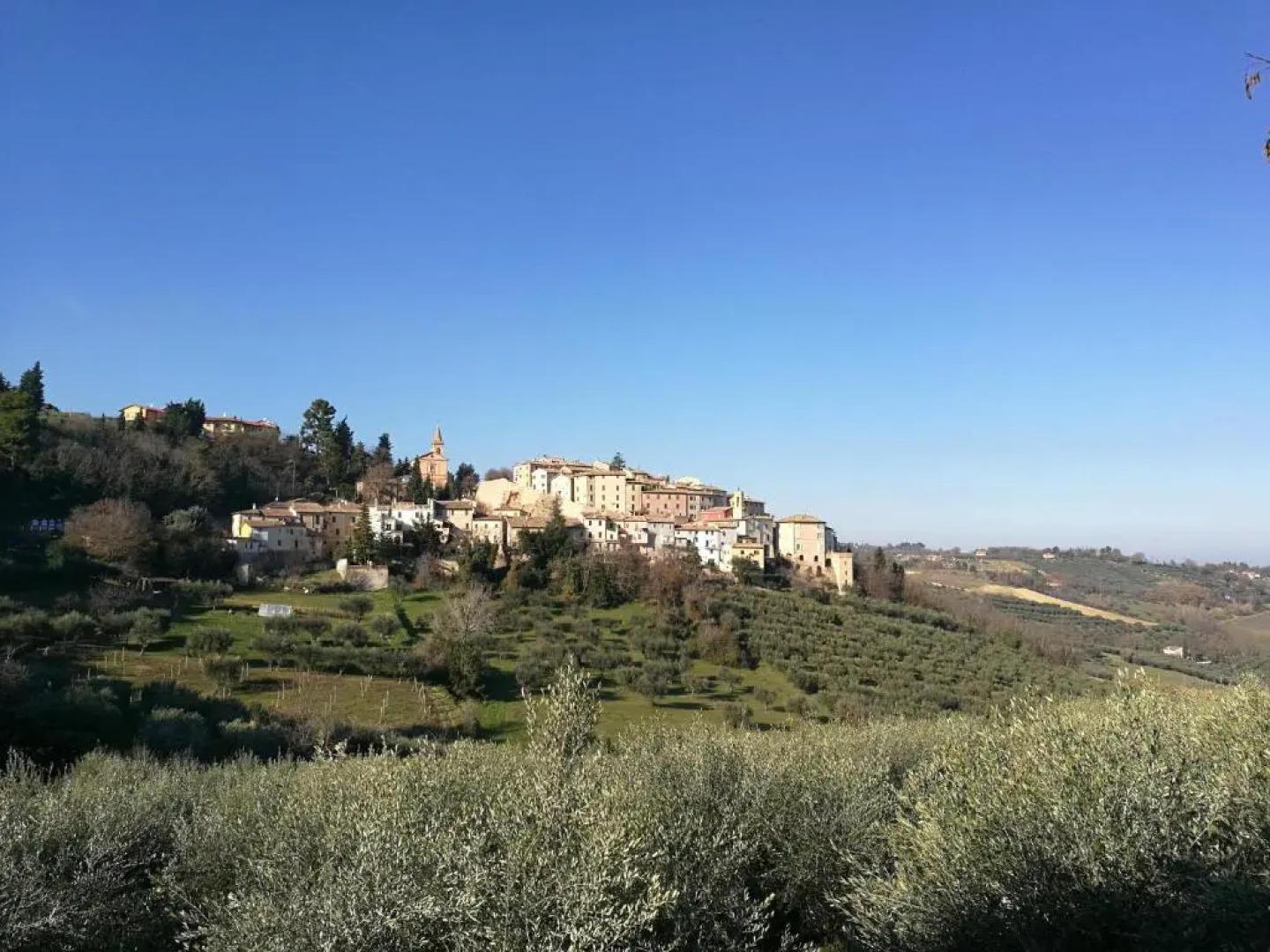 Il nido della rondine, appartamento nel borgo medievale