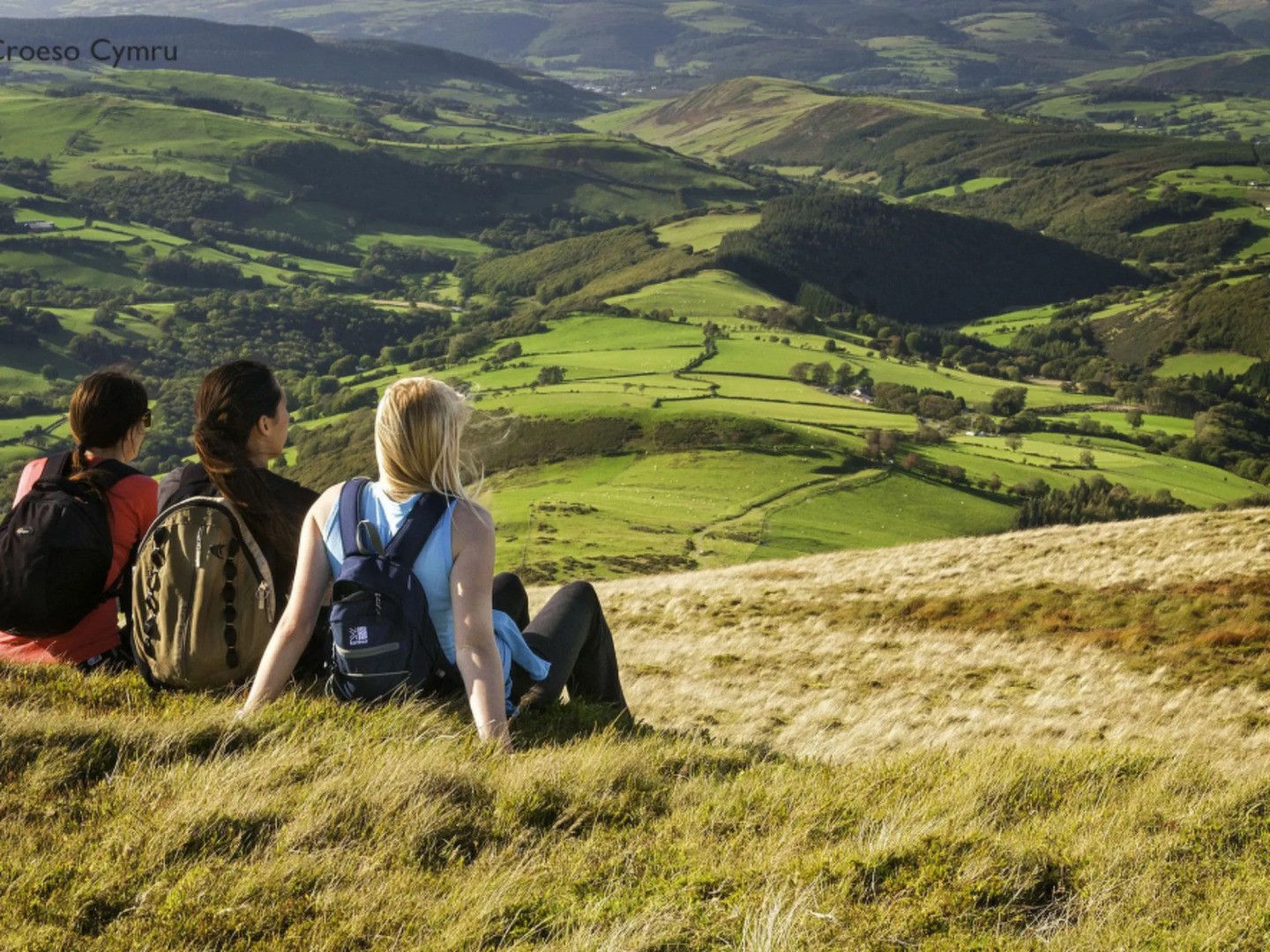 Holiday Home Pantpereg