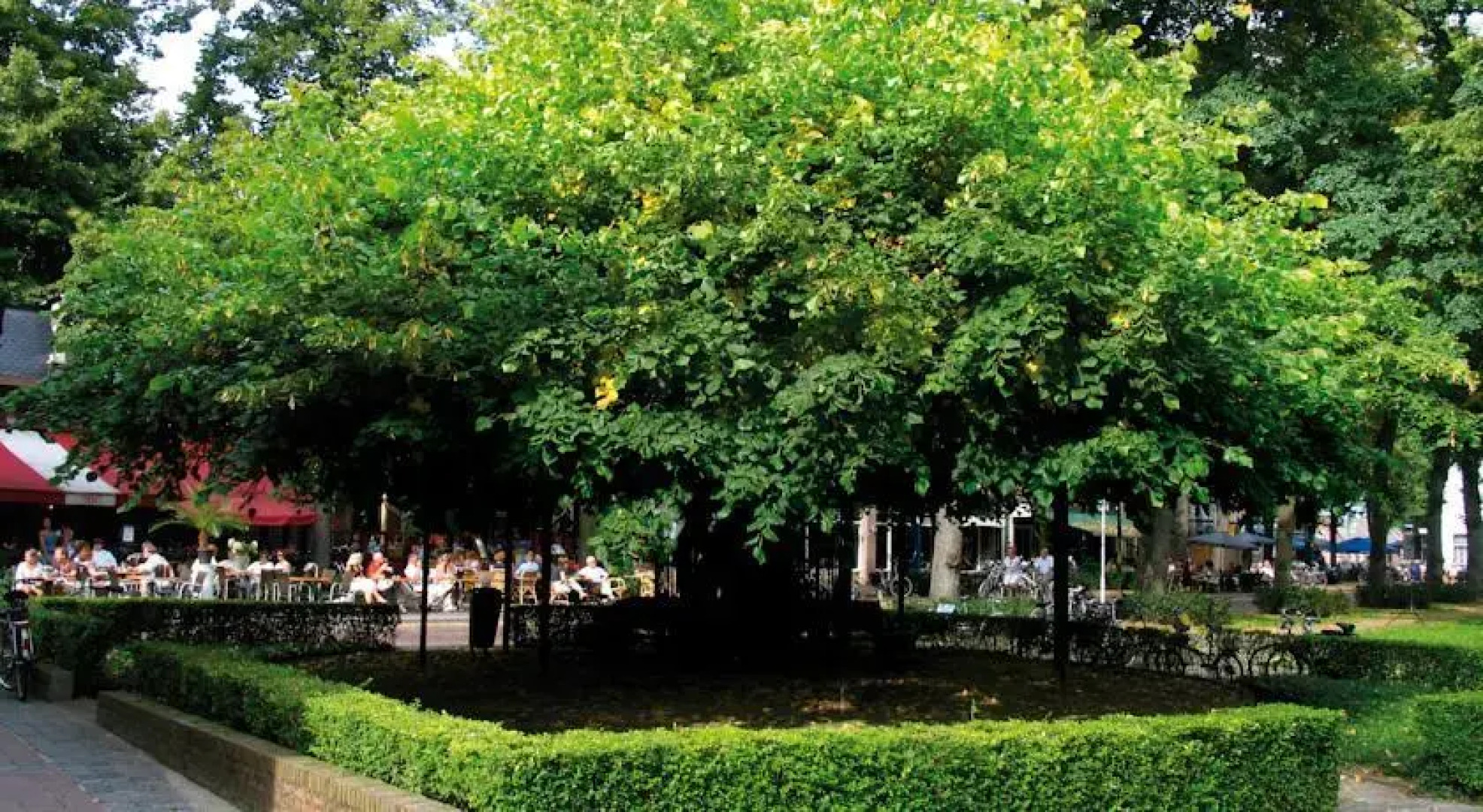 Vakantiepark De Reebok