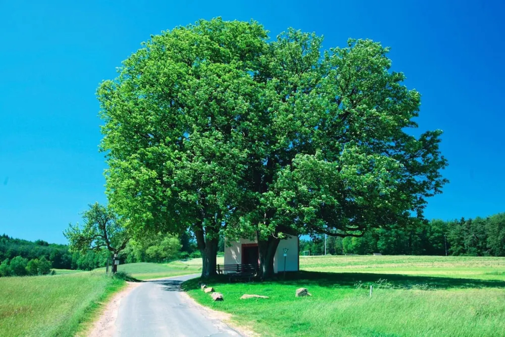 Gasthof Zum Spessart