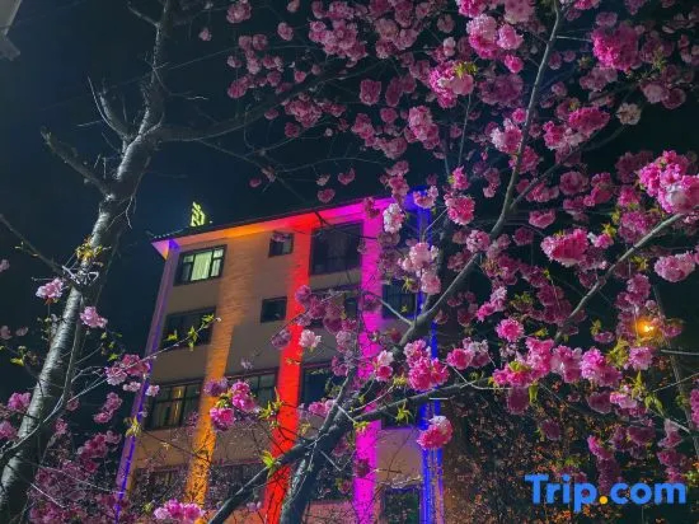 Pearl Hotel (Wuhu Park)