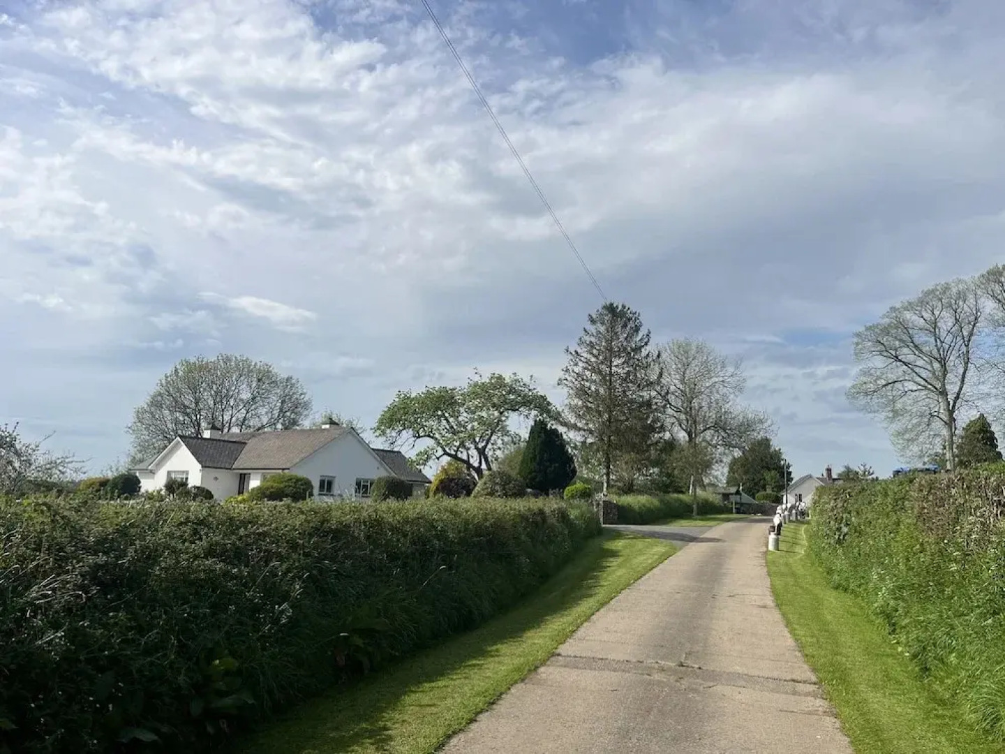 War Horse Valley Orchard View