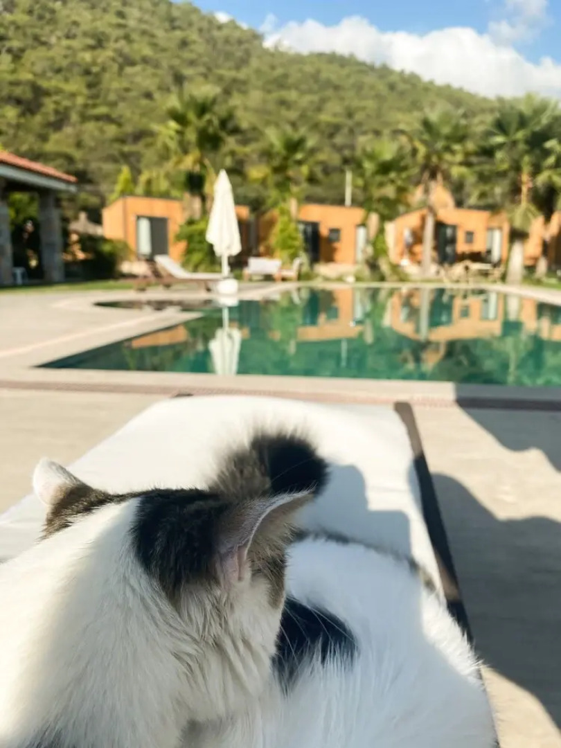 Riverside Gocek Apart Otel Tiny House