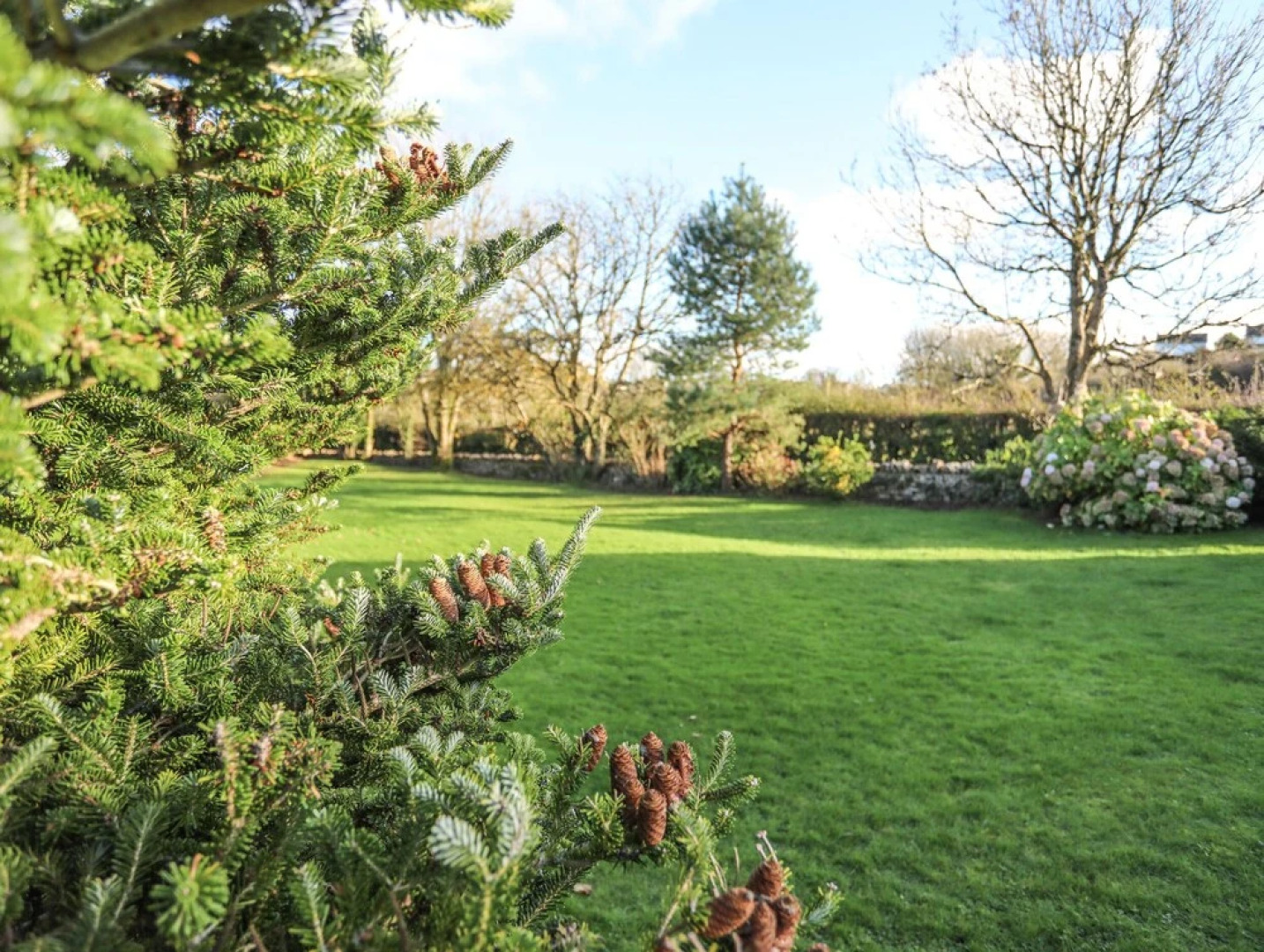 Erw Ddu - Tyn y Gongl