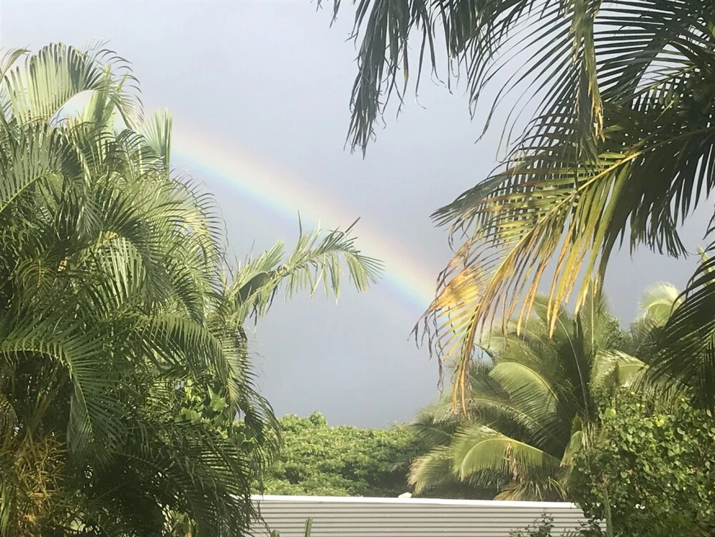 Sweet Spot Stay - Tikis and Treetops