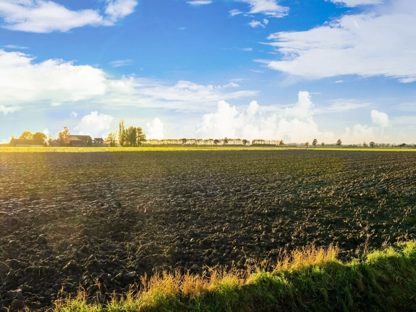 Tranquil Holiday Home in Lage Zwaluwe With Terrace