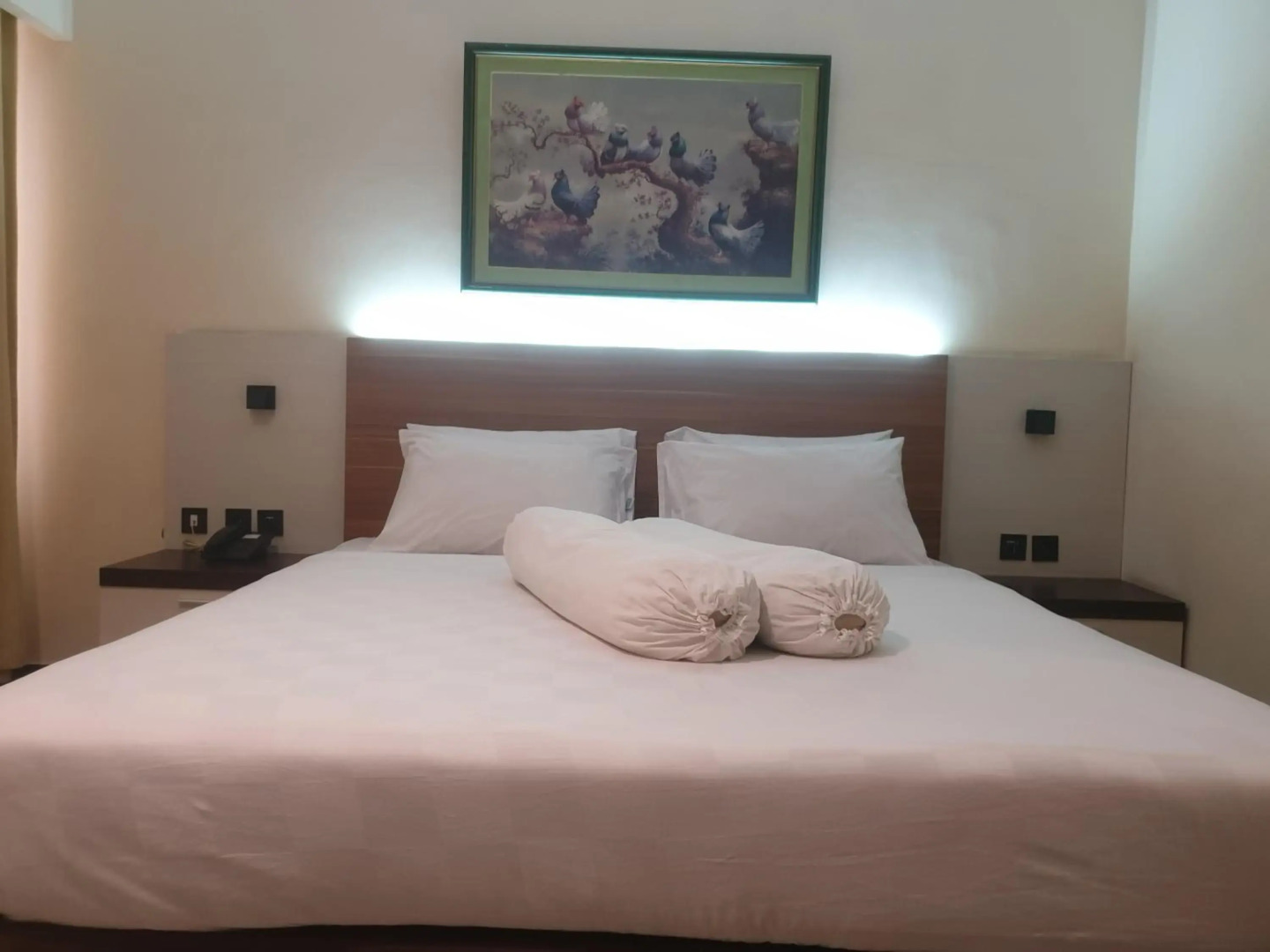 Violand Garden Hotel Samarinda