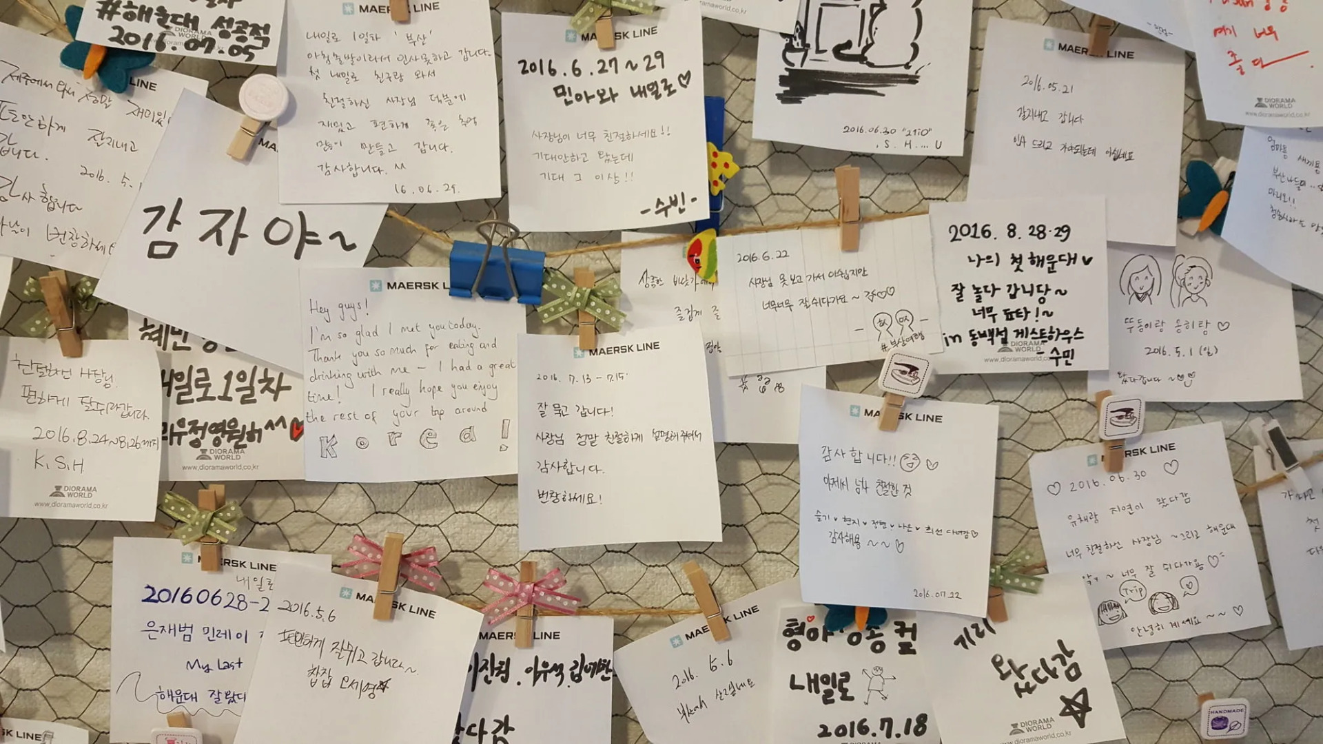 Dongbaekseom Guest House