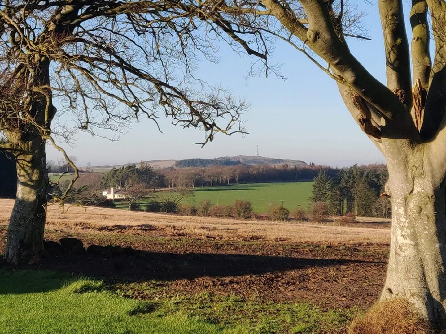 34 Argyle Street Guest House